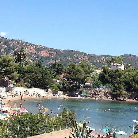 Robinson Standing Pieds Dans L'eau Apartman *